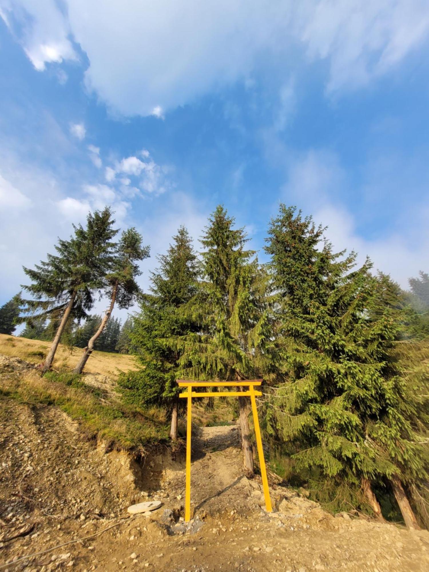 Cucu Zen Bucovina Villa